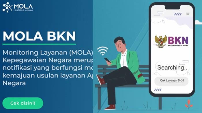 LINK CEK Status Penetapan NIP CPNS dan PPPK 2024 Lewat Mola BKN, Ikuti Cara dan Panduannya