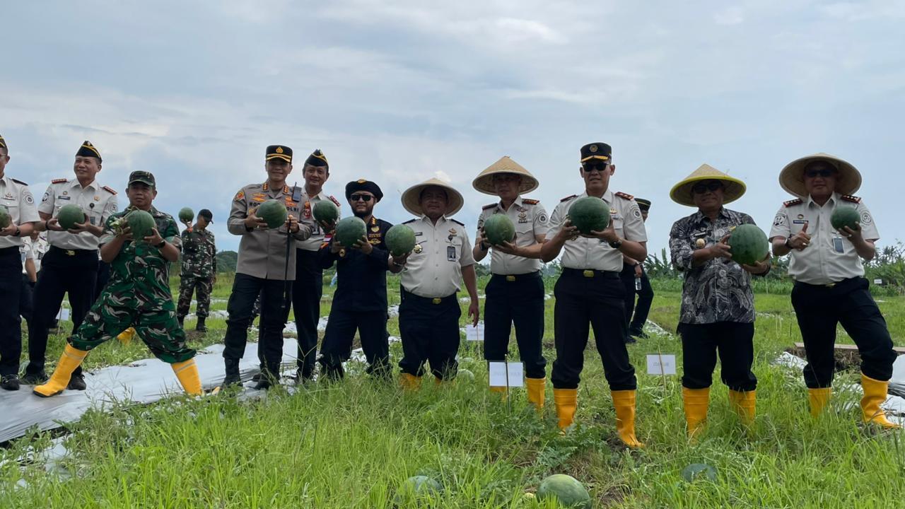 Lapas Banyuwangi Panen Semangka 3 Ton di Lahan Seluas 2500 Meter