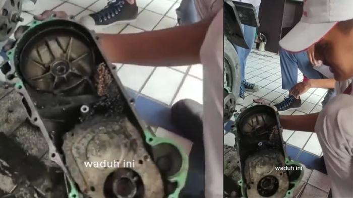Viral Mesin Motor Jadi Sarang Tawon Bikin Montir Syok, Pemiliknya Cewek Sejak Beli Tak Pernah Servis