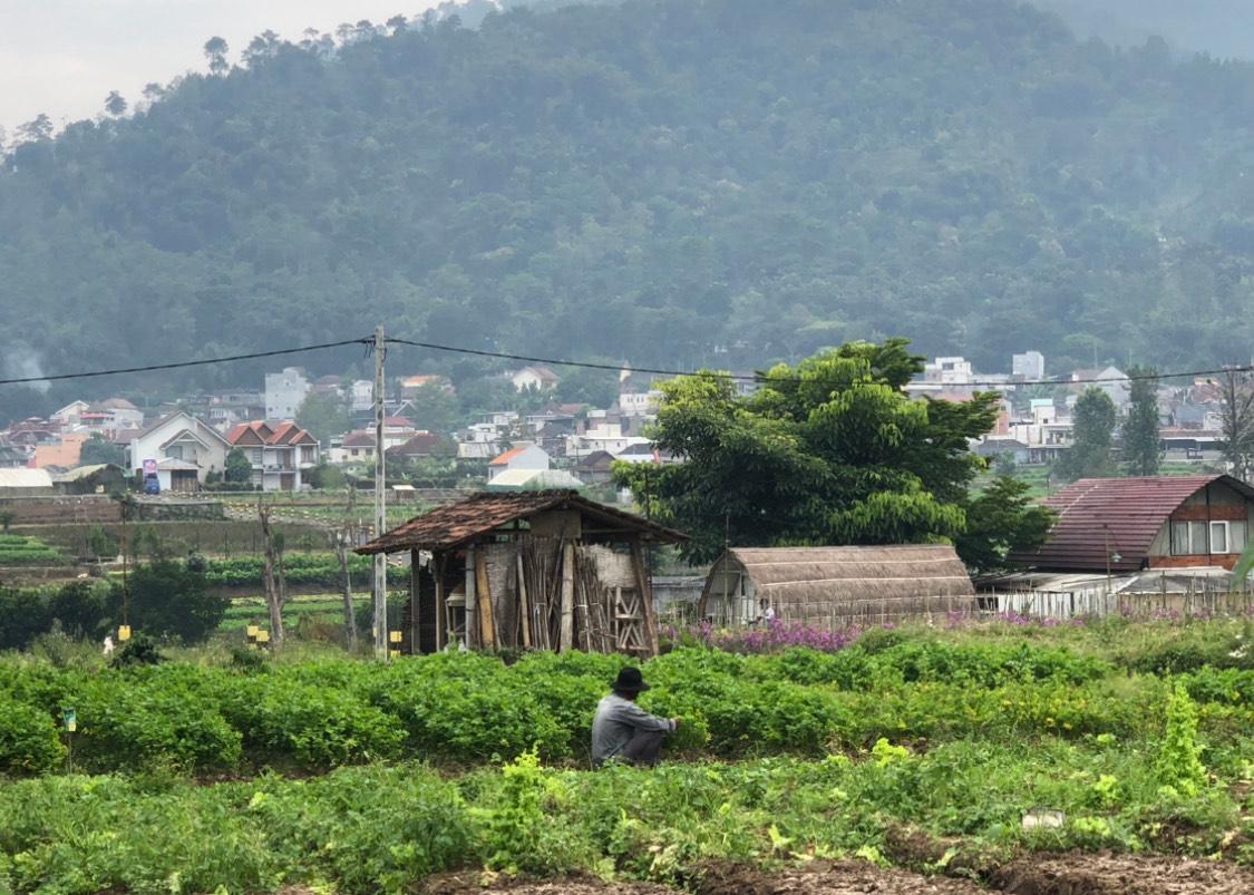 PERUMAHAN-Alih-fungsi-lahan-di-Kota-Batu-mengakibatkan-risiko-munculnya-bencana.jpg