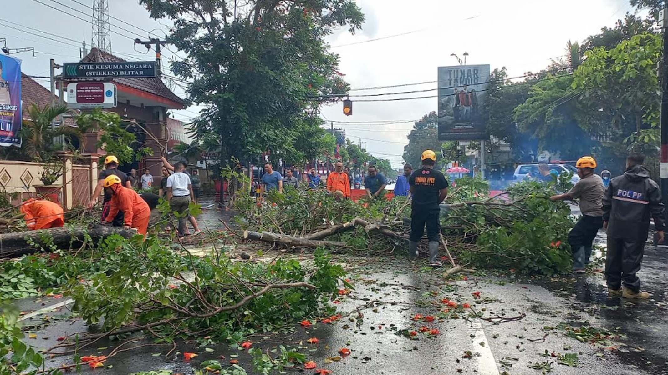 Blitar Diterjang Hujan Deras Disertai Angin Kencang, Pohon Tumbang di  Mana-Mana - Suryamalang.com
