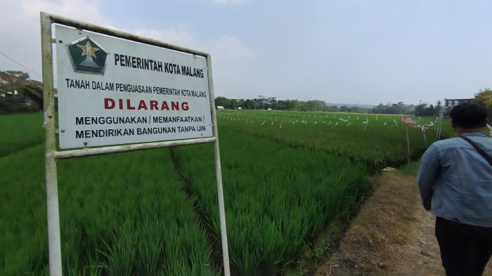 Pemkot-Malang-Wacanakan-Bangun-Gedung-Koperasi-Merah-Putih-di-LSD-Bukan-RTH.jpg