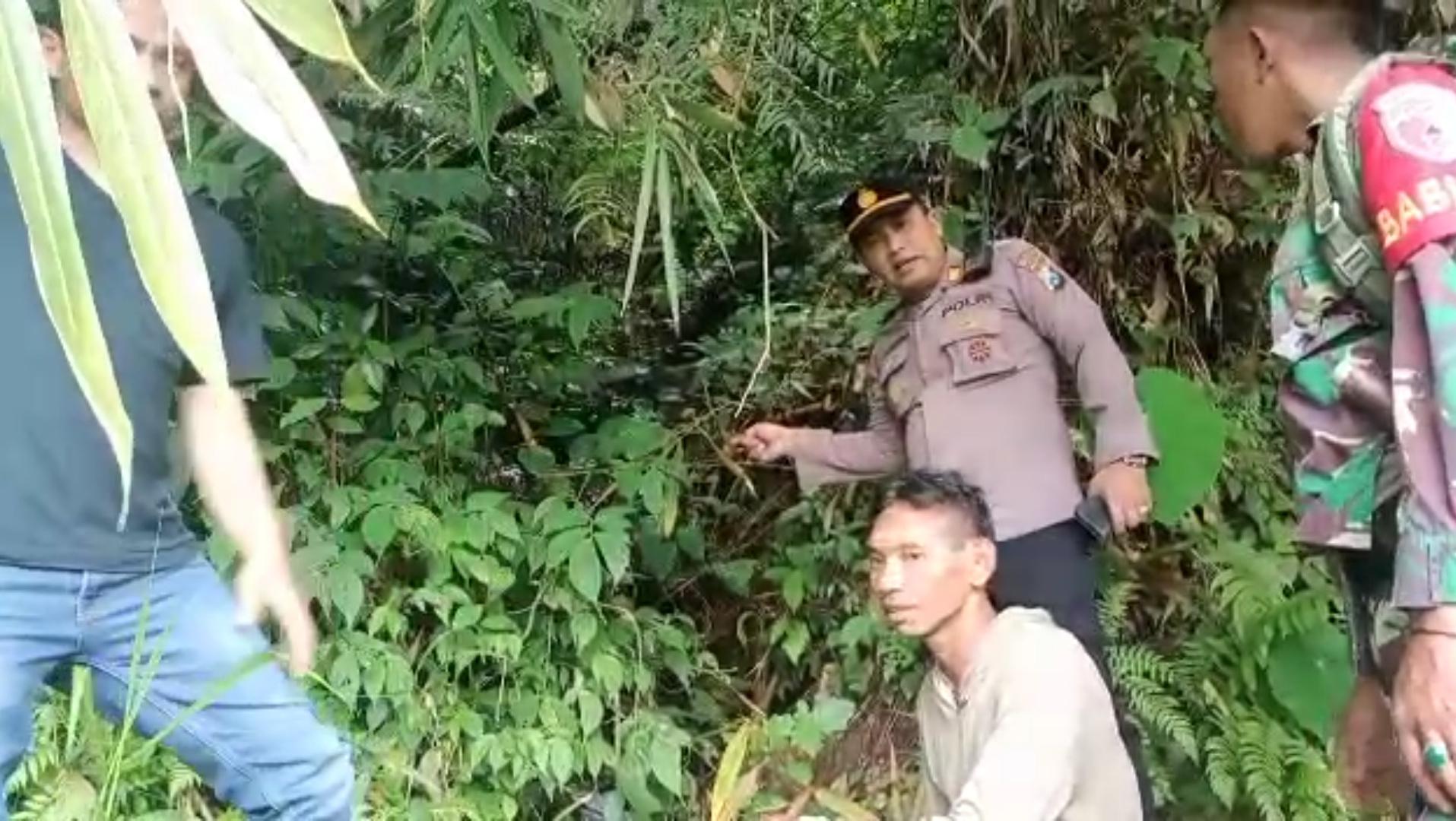 Geger Warga Lereng Gunung Raung Mengaku Bertemu Macan Tutul, Aparat Turun Cek Lapangan
