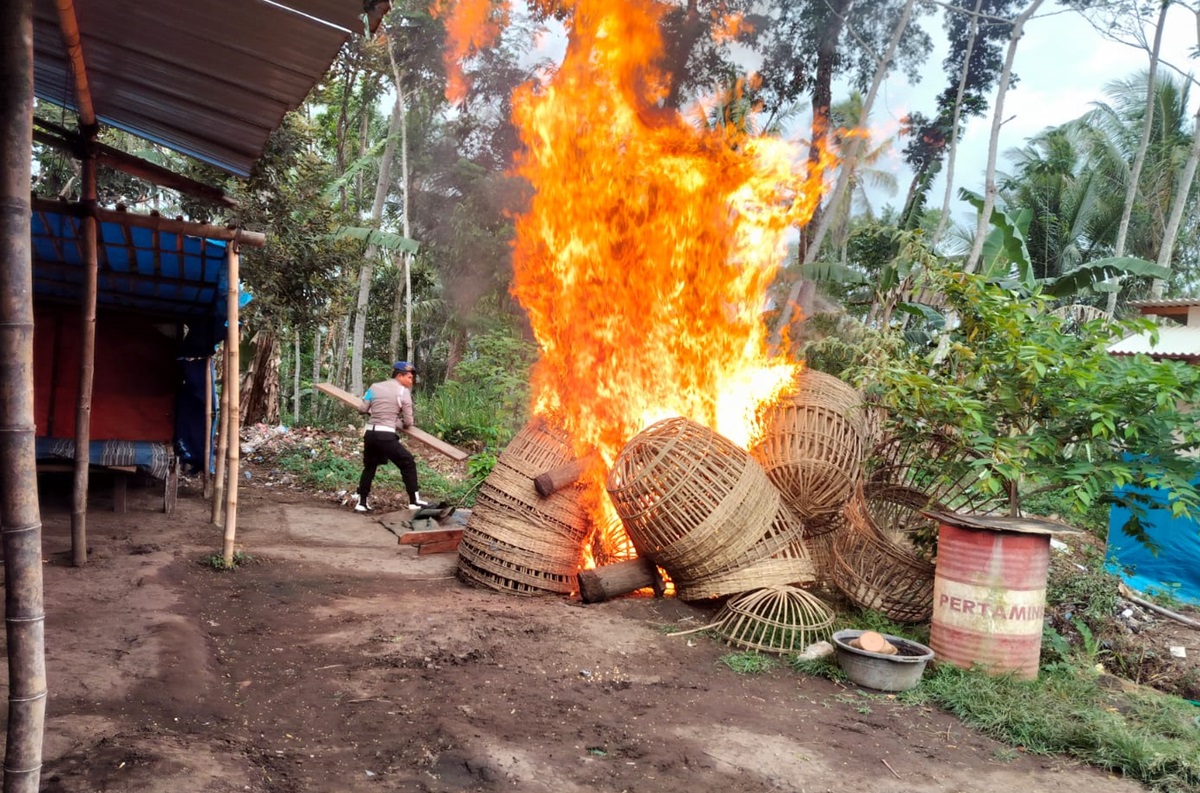 Polres-Malang-membongkar-dan-membakar-peralatan-perjudian-sabung-ayam.jpg