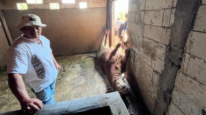 Keracunan Potasium Sianida Jadi Penyebab Sapi di Kota Batu Mati Mendadak, Peternak Rugi Puluhan Juta
