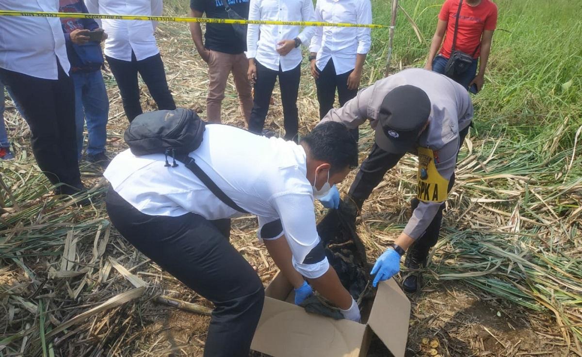 Sesosok-kerangka-manusia-ditemukan-warga-di-tengah-lahan-tebu.jpg