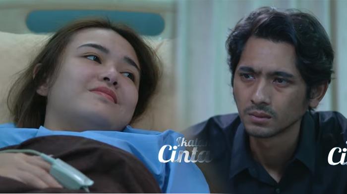 Sinopsis-Ikatan-Cinta-Hari-Ini-Kondisi-Andin-dan-Aldebaran-Kini-Seina-Bingung-dengan-Kehamilannya.jpg