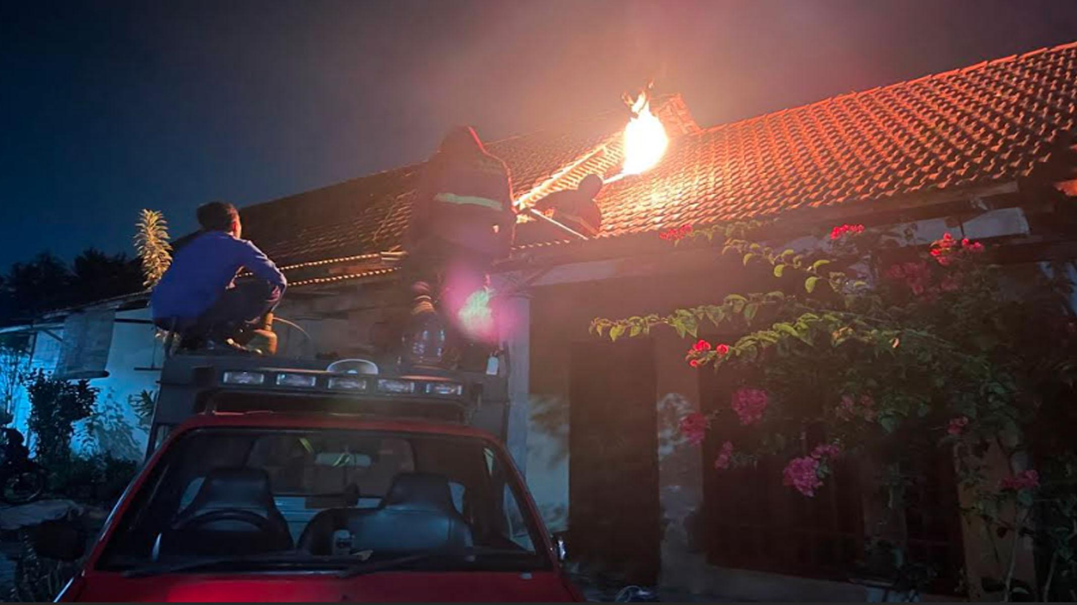 Damkar Tulungagung Sudah Terima 464 Aduan Warga Soal Tawon Vespa, Ledakan Koloni Tawon Vespa