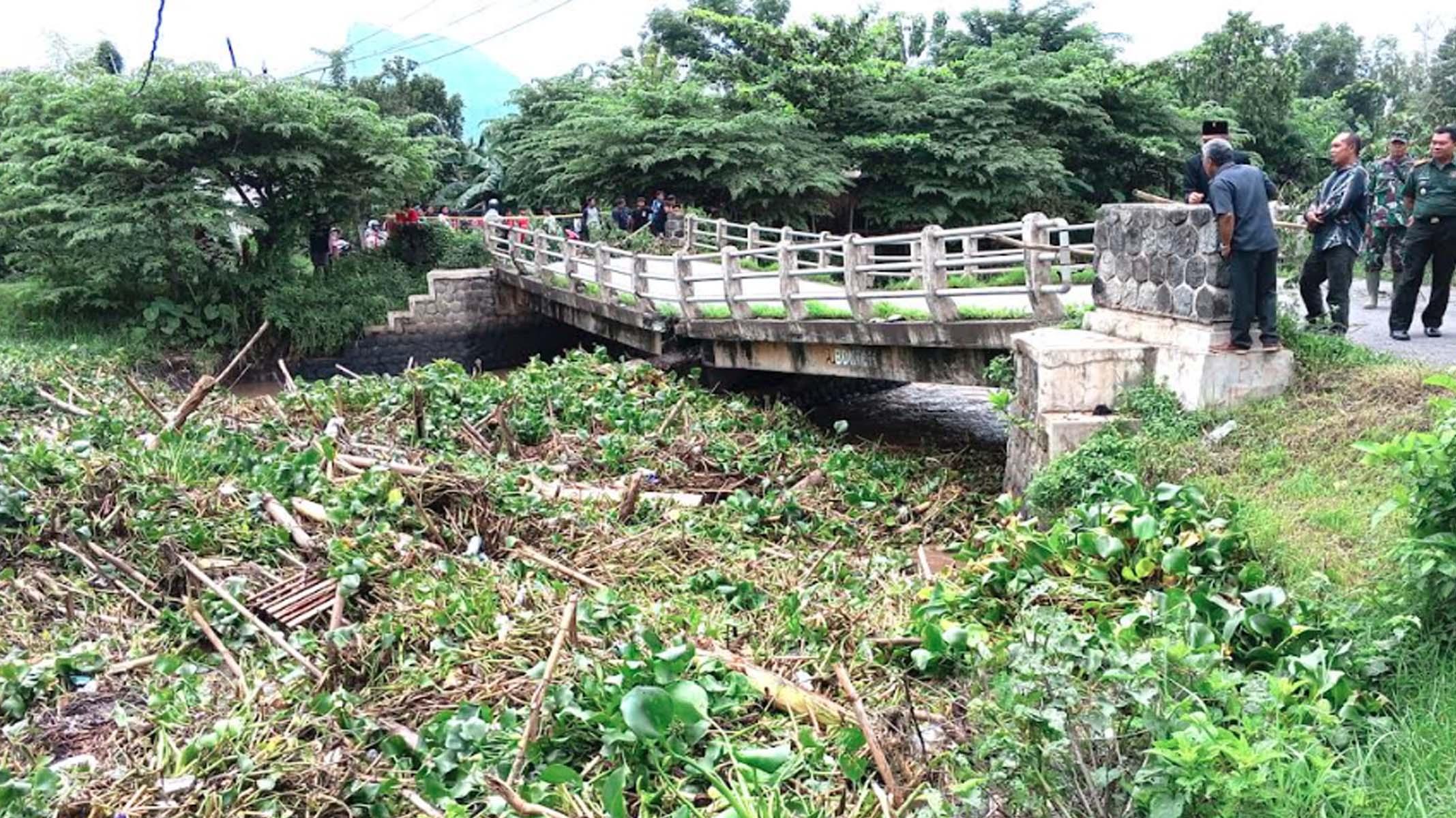 FAKTA Hutan Berubah Jadi Ladang Jagung, jadi Sumber Ancaman Bencana Alam di Tulungagung Selatan