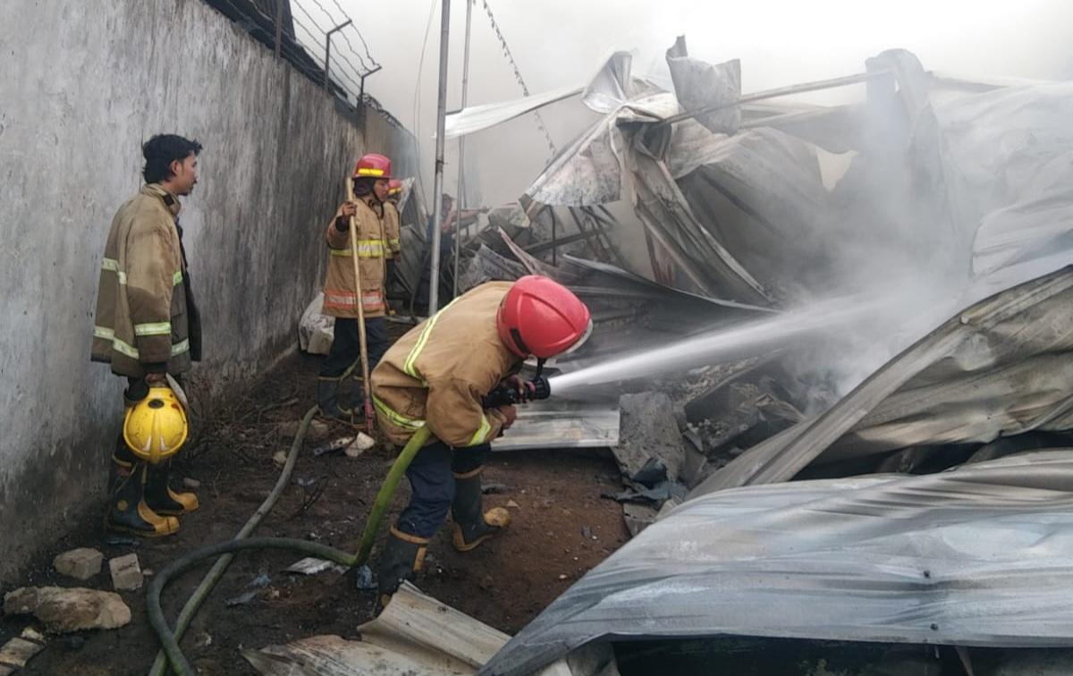 Diduga Korsleting Listrik, Pabrik Egg Tray di Kediri Hangus Dilahap Api, Kerugian Capai Rp 150 Juta