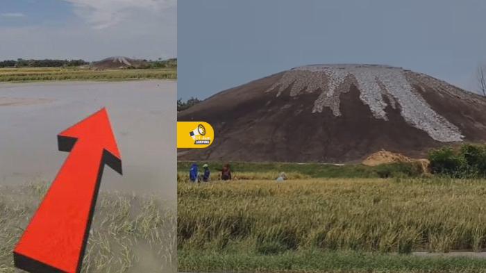Fenomena Viral Setelah Gempa Tuban Muncul Gunung Baru di Grobogan, PVMBG Jelaskan Penyebabnya
