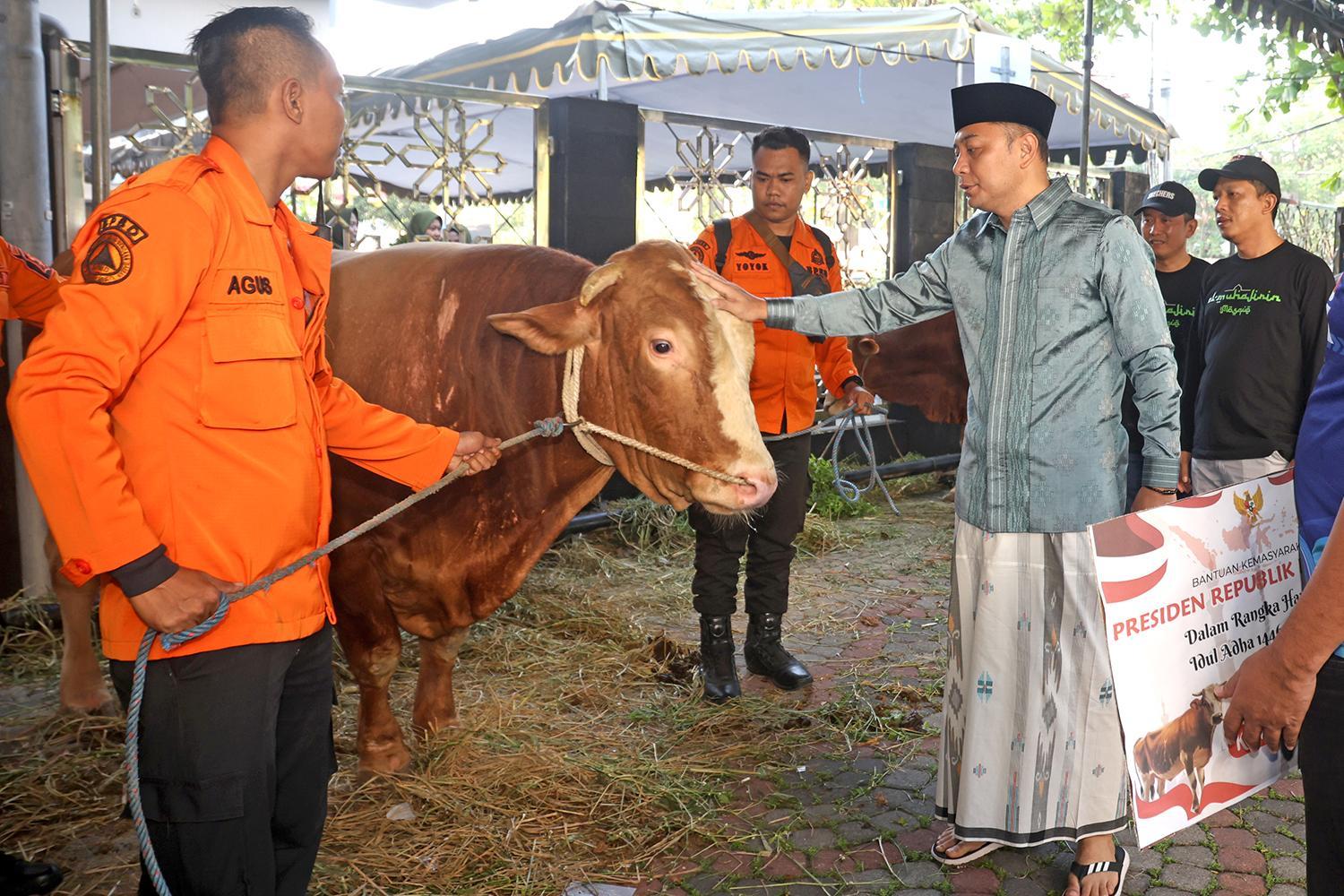 Pemkot Surabaya Potong Sapi Kurban Seberat 845 Kg dari Presiden Prabowo Subianto