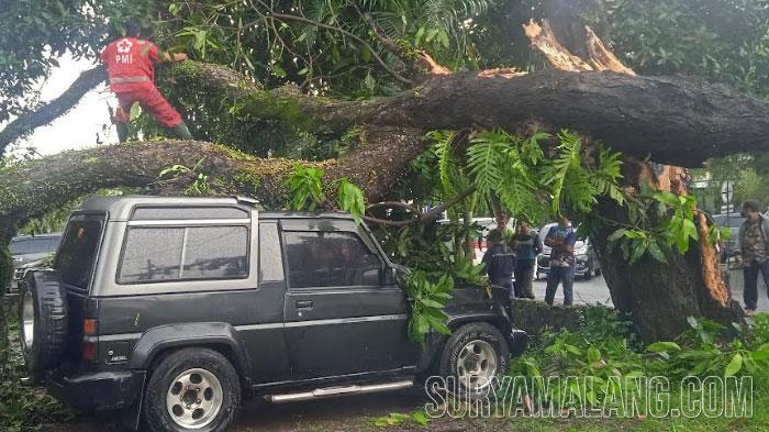Waspada-musim-pancaroba-Sedikitnya-20-pohon-tumbang-dan-23-rumah-warga-rusak-akib.jpg