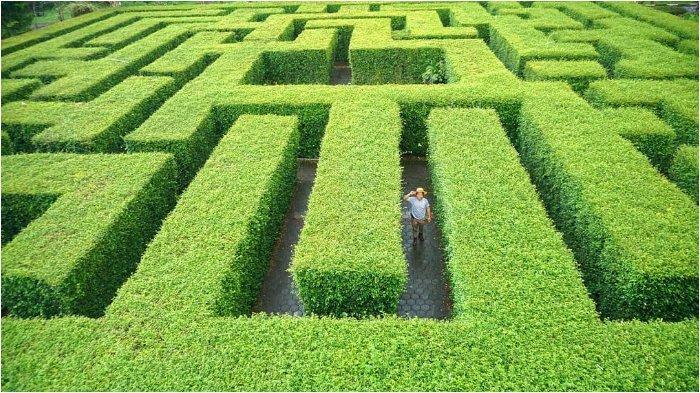 Wisata Malang Terbaru Taman Labirin Coban Rondo, Harga Tiket Rp 40 Ribu, 1 Jam dari Pusat Kota