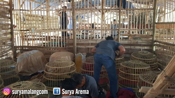 Arena Judi Besar di Gresik Berlangsung Sejak Lama, Kini Dibongkar Aparat Polda Jatim