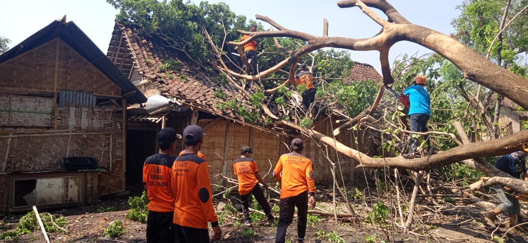 Waspada Potensi Angin Kencang dan Puting Beliung di Kota Malang Pada Akhir 2023
