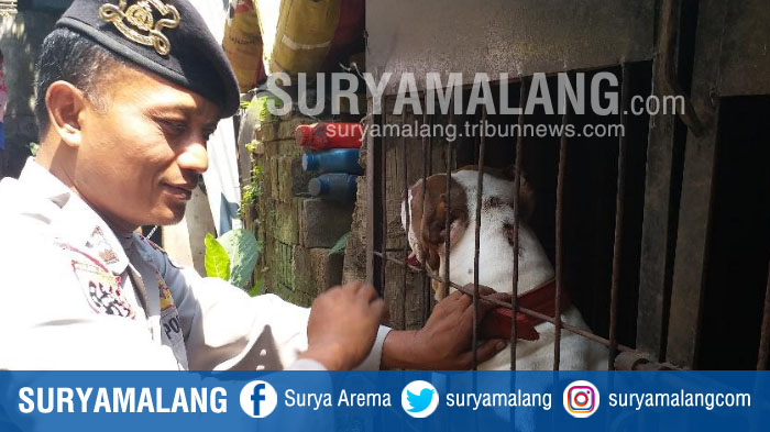 Bocah di Malang Digigit Anjing Hingga Tewas, Orang Tua Tak Mau Jenazah Anaknya Diotopsi