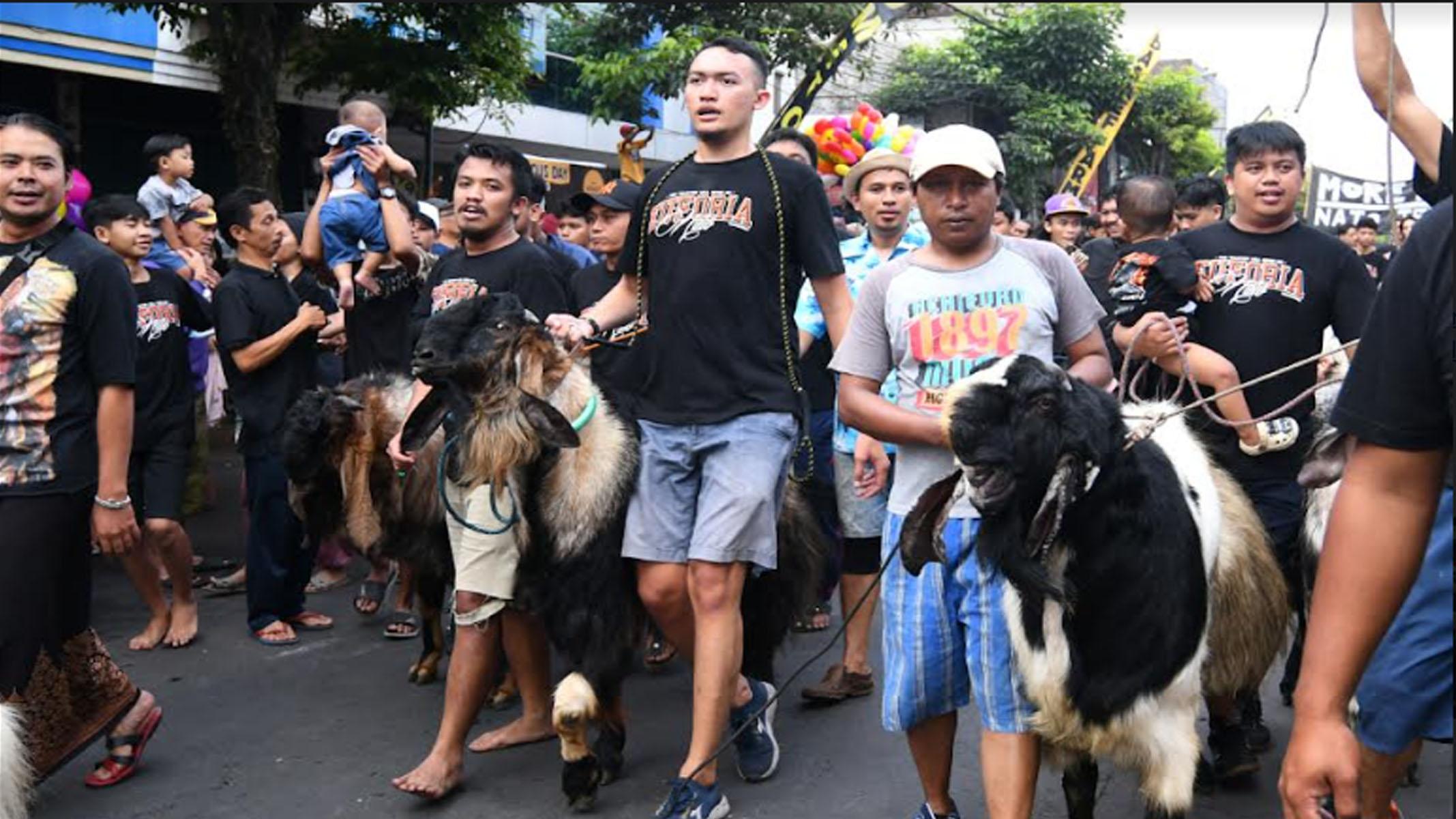 Tradisi Mengarak Kambing di Kota Malang Tetap Meriah, Tradisi yang Berlangsung Sejak tahun 1970-an