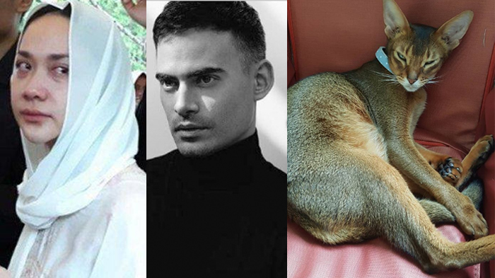 BCL Berduka Lagi Setelah Ashraf Sinclair, Kucing Peliharaan Suami Meninggal, 2 Bulan Tak Nafsu Makan