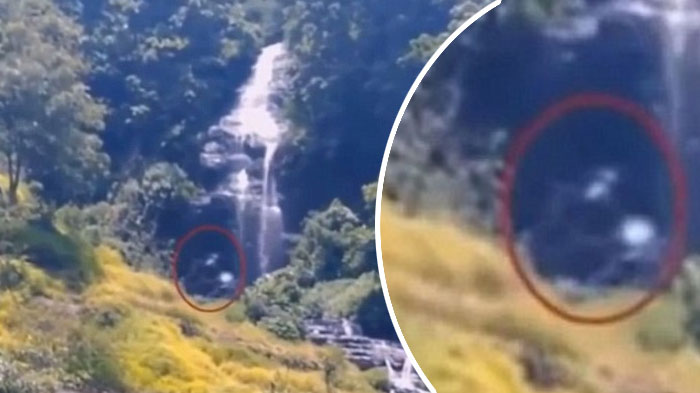 berita-penemuan-malang-penampakan-bigfoot-indonesia_20161016_163805.jpg