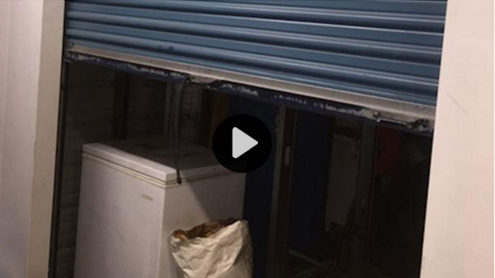 Ada 40 Kucing Mati Dalam Kulkas ini, Sebagian Sudah Dikuliti dan Dipotong