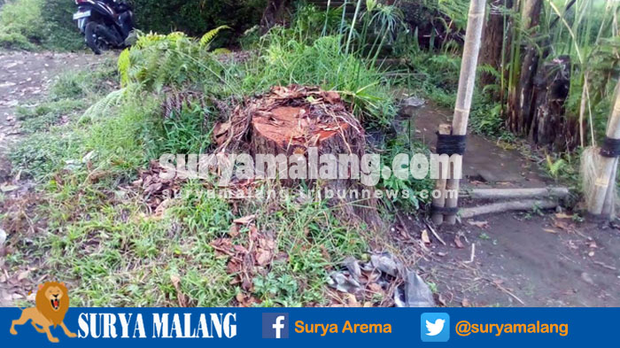 Lokasi Penebangan Pohon Perhutani untuk Menunjang Wisata Kabupaten Malang