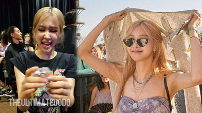 BLINK Nekat Lamar Rose BLACKPINK, Reaksinya Tak Terduga, Sampai Diajak ke Prom Night