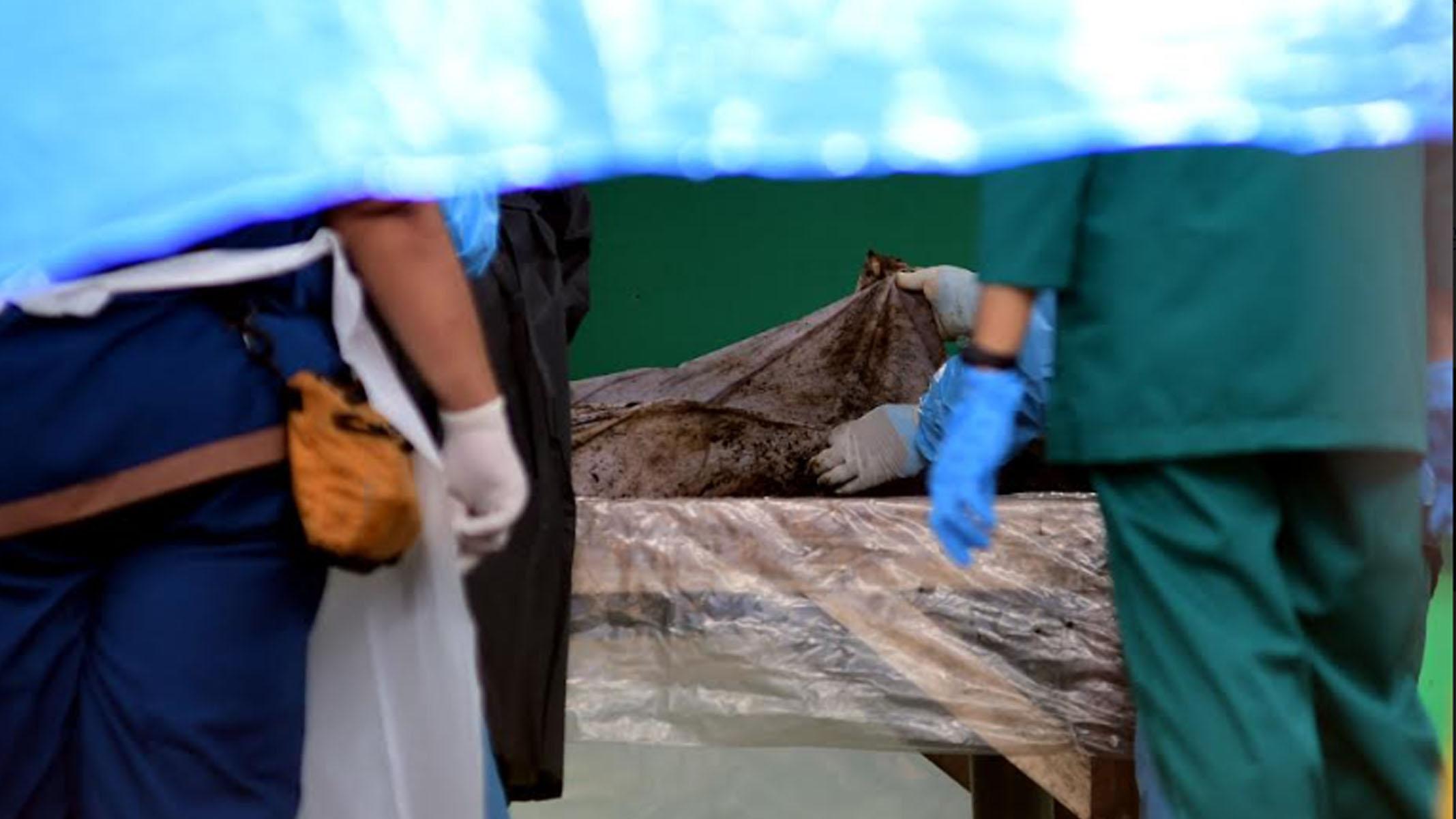 Hasil Autopsi Dua Korban Sudah Keluar, Tim Advokasi Tragedi Kanjuruhan Belum Tahu Hasilnya