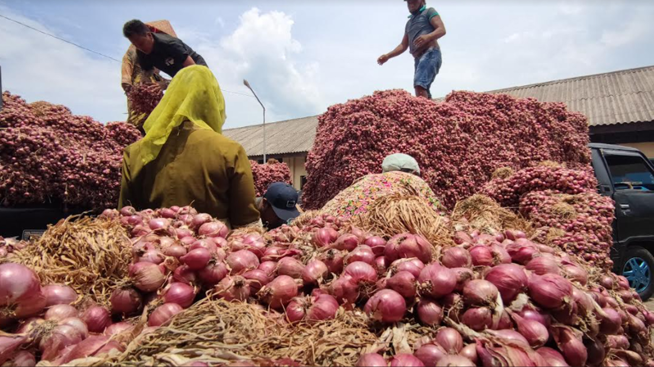 harga-bawang-merah-anjlok-probolinggo.jpg