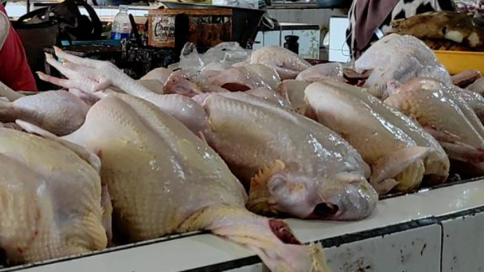 harga-daging-ayam-potong-naik-jelang-hari-raya-idul-fitri-2022-di-pasar-besar-madiun.jpg