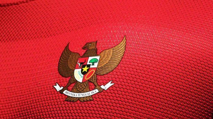 ilustrasi-timnas-indonesia_20160803_112049.jpg