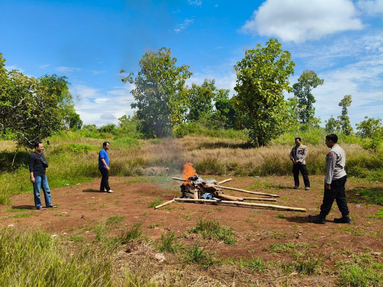 Aktivitas Sabung Ayam Berjalan di Dekat Pemakaman, Polres Sampang Bakar Arena Perjudian