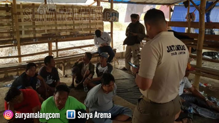 Desa Sidowungu, Lokasi Favorit Para Pejudi Sabung Ayam dari Gresik, Surabaya hingga Mojokerto