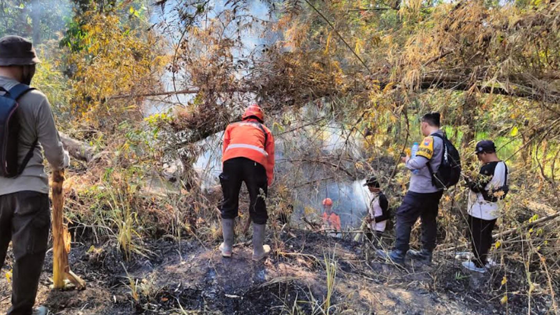 Kebakaran Lahan Rambah Gunung Gunung Klotok Kediri, Petugas Gabungan Bisa Padamkan Titik Api