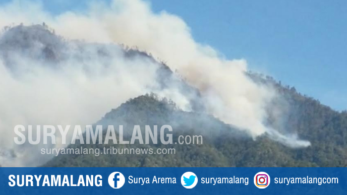 Update Status Gunung Ijen dan Kebijakan Baru soal Pendakian Masih Dievaluasi