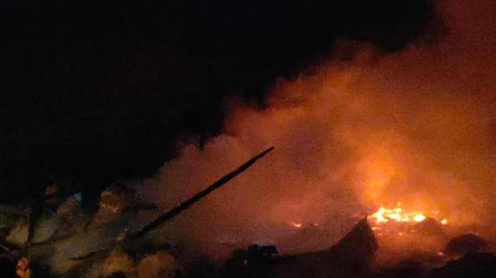 Korsleting Listrik Picu Kebakaran Kandang di Tuban, 5.000 Ayam Terbakar