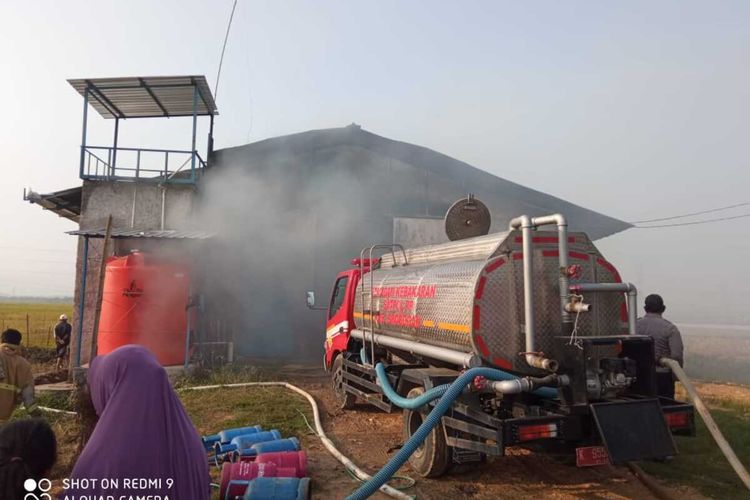 Kebakaran di Grobogan, 40.000 Ayam Mati Terpanggang