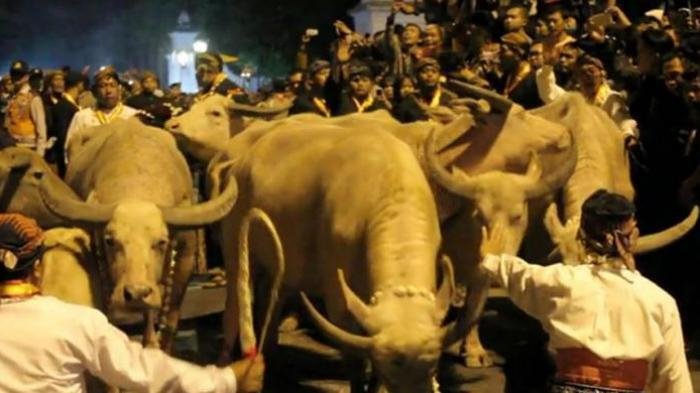 5 Tradisi Jawa Sambut 1 Suro atau 1 Muharram 1440 Hijriyah, dari Keliling Benteng sampai Pernikahan