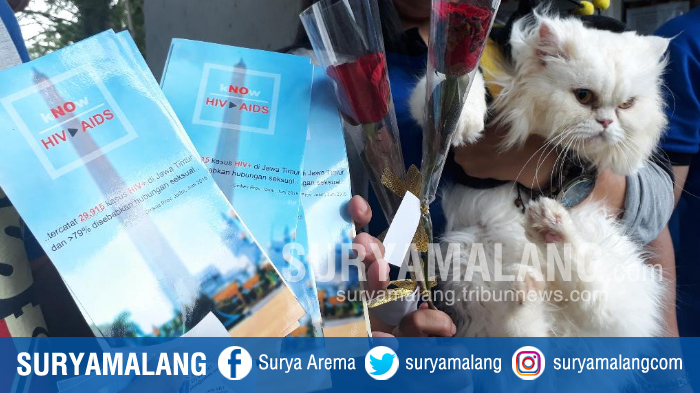kucing-bernama-imel-turut-memperingati-hari-aids-sedunia-di-kota-malang_20171201_185633.jpg