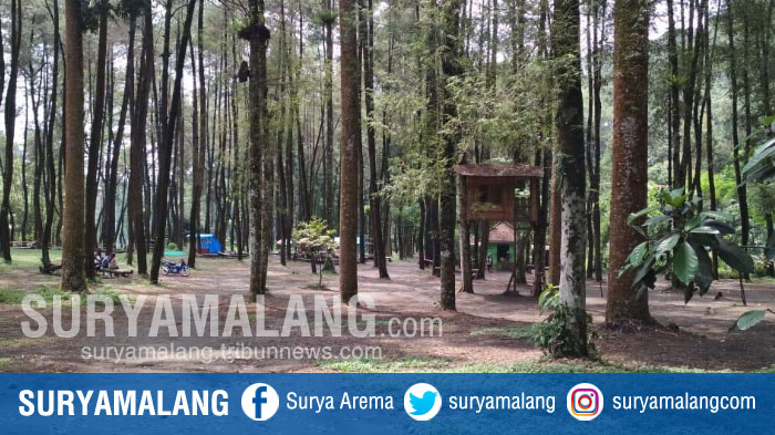 ledok-ombo-camping-ground-di-desakecamatan-poncokusumo-kabupaten-malang.jpg