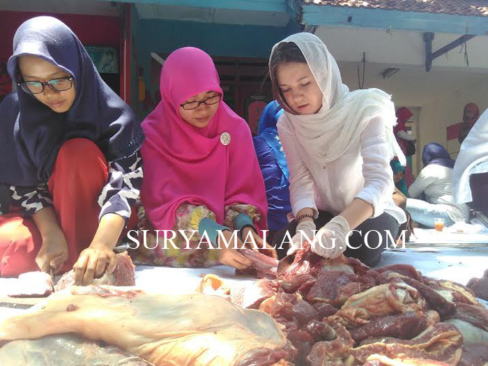 Daging Kurban Jangan Dibungkus Kresek Hitam, Kata Pakar Kesehatan Masyarakat, Alasannya . . .