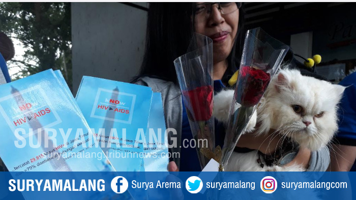 malang-cat-lovers-peringati-hari-aids-sedunia-1122017_20171201_102807.jpg