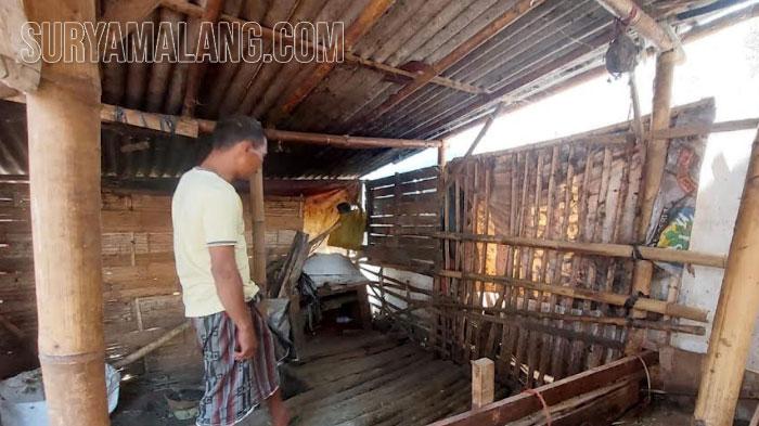 maling-sapi-Kelurahan-Curahgrinting-Kecamatan-Kanigaran-Kota-Probolinggo.jpg