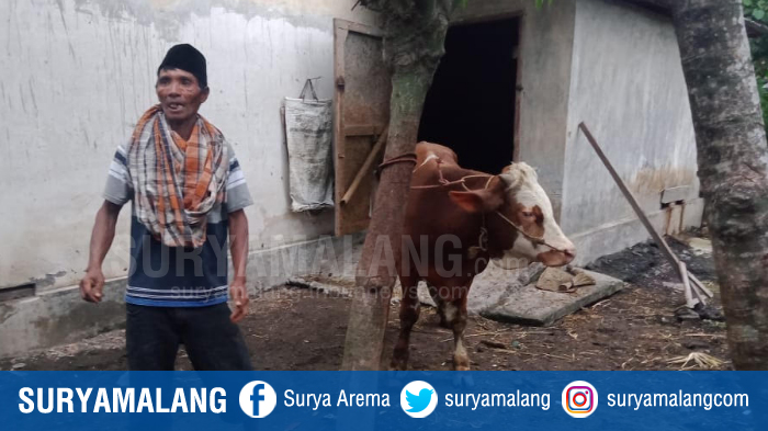 Dua Ekor Sapi Senilai 28 Juta Lenyap Tanpa Jejak Saat Dini Hari, Maling Sapi di Lumajang