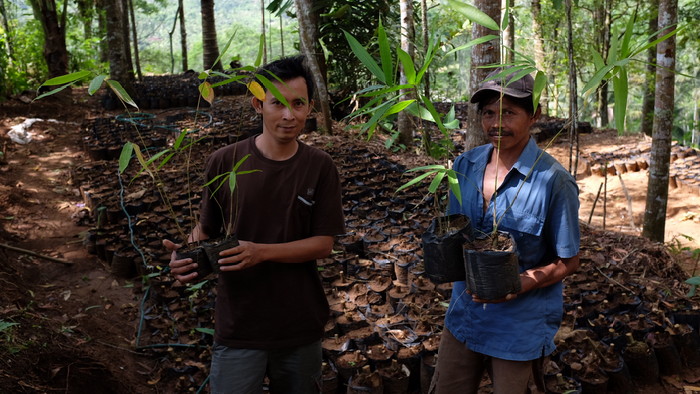 melihat-cara-warga-trenggalek-membuat-pembibitan-bambu.jpg