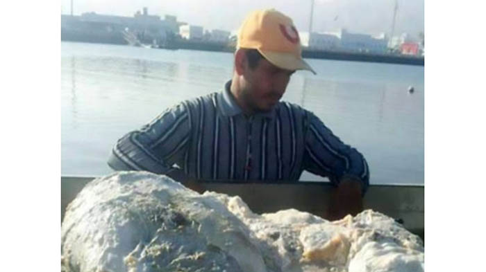 muntahan-ikan-paus_20161116_131549.jpg