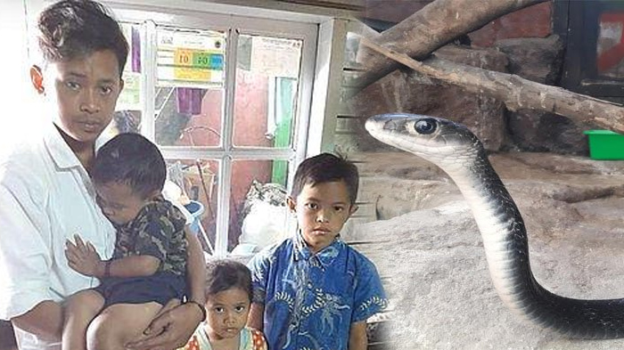 nasib-4-anak-hidup-yatim-piatu-setelah-ayah-meninggal-karena-sakit-ibu-tewas-diduga-digigit-ular.jpg