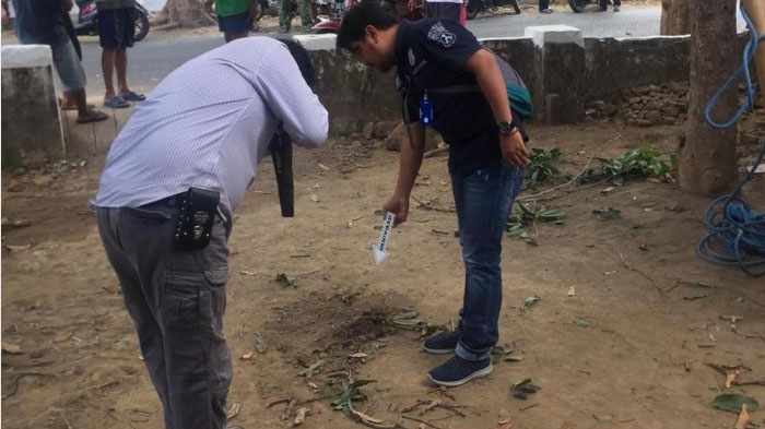 Pria 73 Tahun Tewas Seusai Terjatuh dari Pohon Mangga Setinggi 5 Meter di Blitar