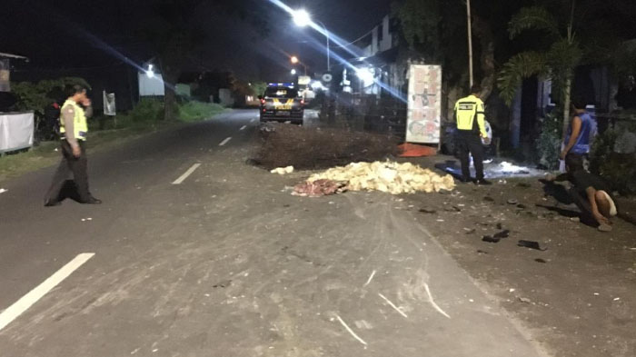 Pengemudi Motor Tewas Tertimpa Mobil Pikap Pengangkut Ayam di Gresik
