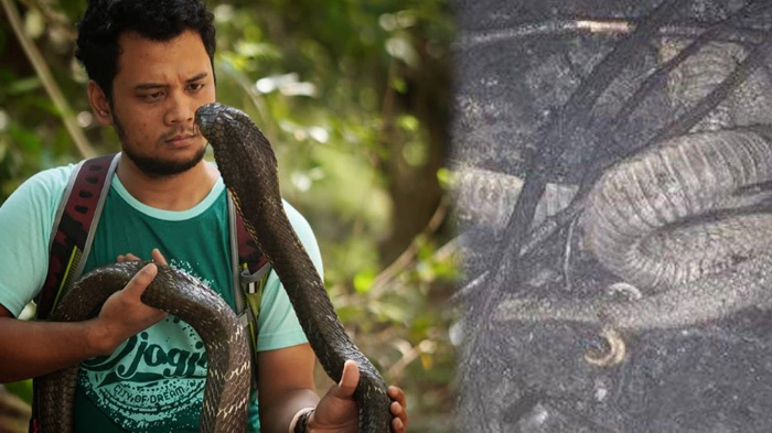 qattiq mushuk bilan jinsiy aloqa HD 1080p masturbatsiya porno